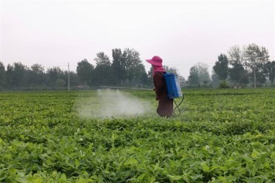 灭草松的防治对象,可灭杀苍耳、问荆、马齿苋等杂草