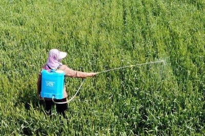 使用杀虫剂有哪些注意事项,根据气候特点和害虫活动规律选择施药时间