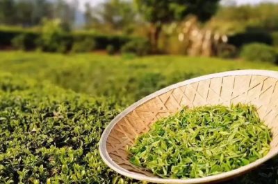 广东湛江的特产，吴川月饼在南宋时期便已开始制作