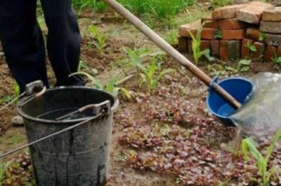 农家肥和化肥有什么区别,来源、作用和肥效均不同