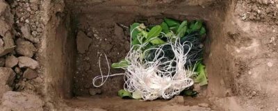 怎么制作肥料,先需要准备合适的原料