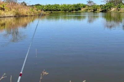 春钓口诀和意思解释,雨后鱼靠边、打窝不打远