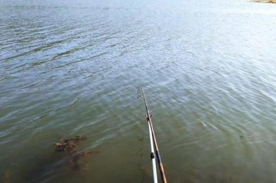 春季钓鲤鱼选什么位置,水草区、铧尖、凹湾都是最佳钓点