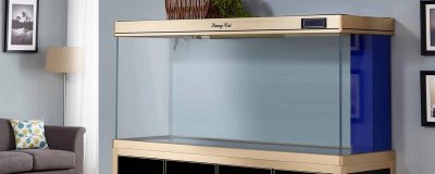 鱼缸中50升水需要放多少盐,用盐不能超过150克