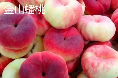 蟠桃和油蟠桃的区别,油蟠桃果皮光滑容易清洗