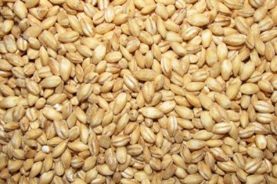 开春后的钓鱼时间,温度、气压和风向都是重要指标