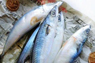青条鱼的别称，又叫青花鱼