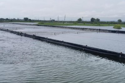 室内水产养殖项目,好养又赚钱