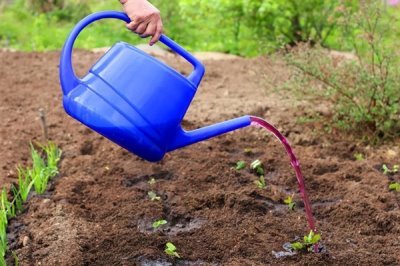 吡虫啉怎么使用,常采取拌种、灌根、穴施等方法