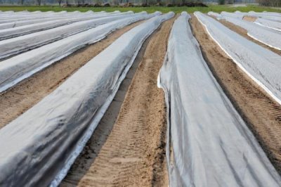 如何购买农膜，首先要看产品合格证