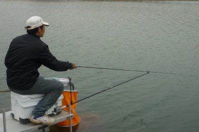 钓鲶鱼的技巧,以夜钓为佳