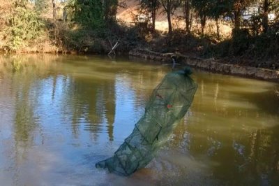 地笼放深水还是浅水合适,通常会放置在浅水区域