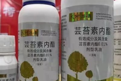 芸苔素的使用方法,可以叶面喷施也可拌种