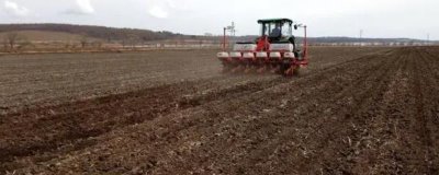 玉米在10度左右时可以播种吗,适合在10-12℃时播种