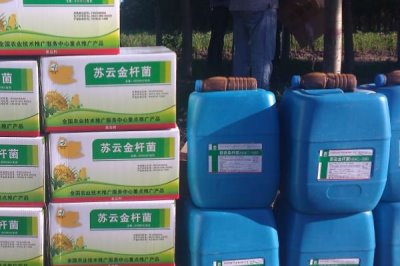 杀虫剂能杀死螨虫吗，能杀死螨虫