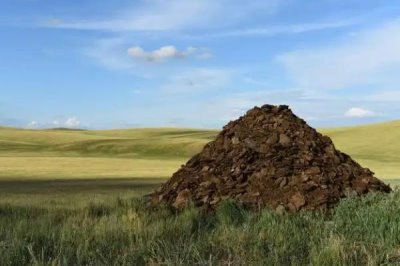 冬季堆肥要注意什么,在肥堆顶部盖土封泥能够保温