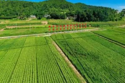 高标准农田建设的目的,目的在于保证我国的粮食产量、安全等