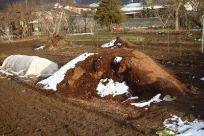 冬季堆肥要注意什么,在肥堆顶部盖土封泥能够保温