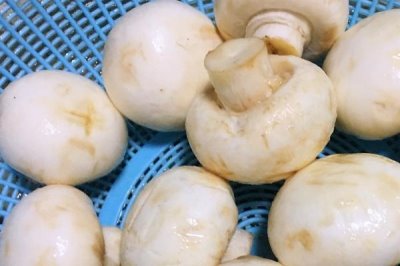 口蘑的产地,呼伦贝尔市等地方为主要产区