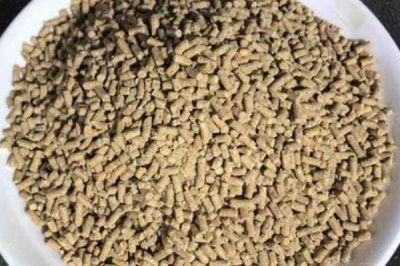 小猪饲料为什么不能给大猪吃，猪每个阶段所需的主要营养不同