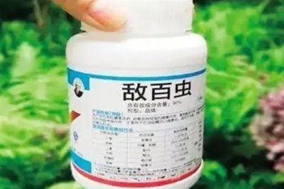 90敌百杀虫剂的鱼塘用量,鱼塘用量为0.2-0.5ppm
