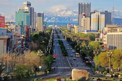 新疆伊宁市的农特土产品,有马铃薯、薰衣草精油等