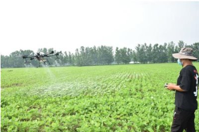 磷酸二氢钾叶面肥的使用方式,一般使用叶面喷施的方式