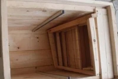 育王棒是什么,属于培育蜂王的专用工具