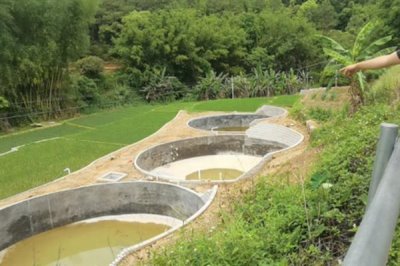 农村鱼塘养鱼技术,位置要选在水源附近