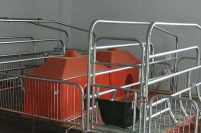 母猪单养圈舍的适宜尺寸,按照长4米、宽2.5米的规格去建造