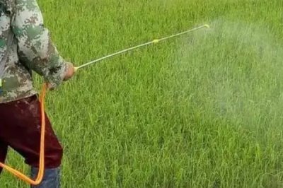 灭草松是酸性还是碱性的,灭草松是弱酸性的