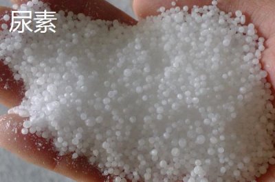 真假化肥怎样识别,建议购买正规产厂家生产的