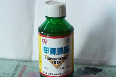 菊酯类杀虫剂可以杀哪些虫,甲氰菊酯可防治咀嚼式和刺吸式口器害虫