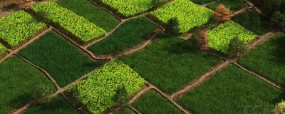 一亩地长宽是多少米,只需长乘宽等于667平方米即可