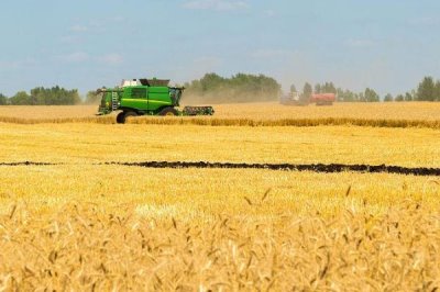 俄罗斯农业分布特点,主要分布于东欧平原中部及南部的伏尔加河流域、顿河流域