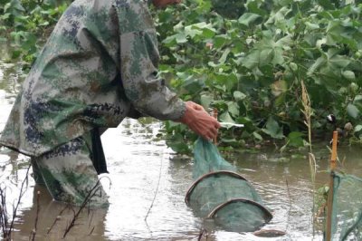 地笼放深水还是浅水合适,通常会放置在浅水区域
