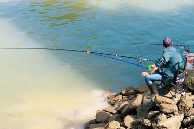 鲢鱼不开口的温度，低于5℃时会停止开口