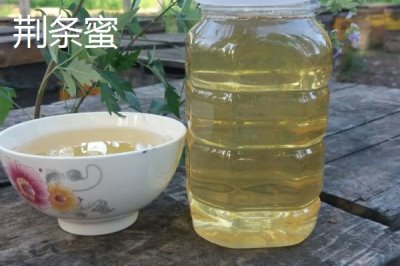 荆条蜜还是槐花蜜比较好,槐花蜜的优势更加明显