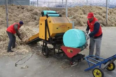 县城有什么适合一个人干的小生意,开办快餐店、粗粮养生店等项目值得考虑