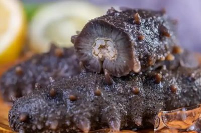 海参的养殖注意事项,要勤换水