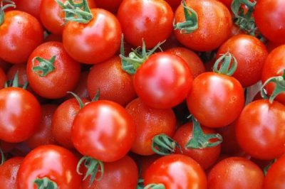 杂佛鳄龟喜欢吃什么,肉食性食物、蔬果都可以