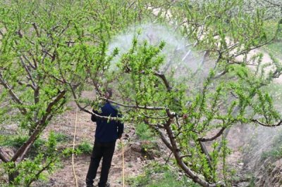 生物农药的简介，是指利用生物活体或代谢产物去杀灭、抑制有害生物的制剂