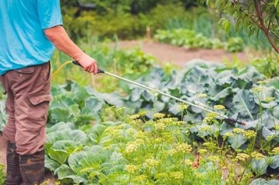 生物农药的简介，是指利用生物活体或代谢产物去杀灭、抑制有害生物的制剂