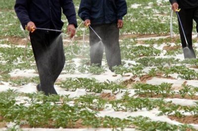 蔬菜冲肥注意事项，首先正确选择冲肥种类