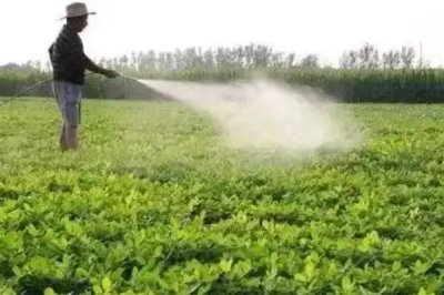 辛硫磷能不能叶面喷施,叶面喷施的持效期较短