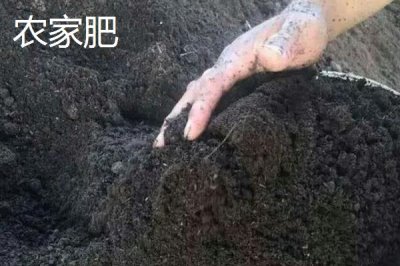 农家肥和化肥有什么区别,来源、作用和肥效均不同
