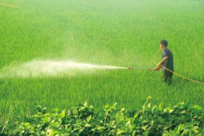 氨基寡糖素的防治对象,可防治小麦花叶病、棉花黄萎病等病害