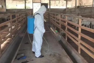 如何处理养殖场的污水,可采用物理、化学或生物处理法