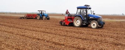 小麦的适宜播种量，半冬性品种每亩播种7-9公斤