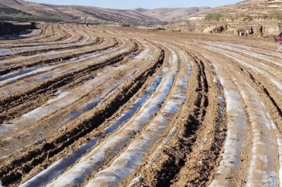 种植中草药的方法,因地选择品种
